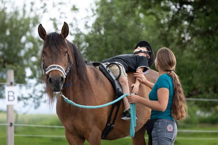 Aktivwach-Hypnose pferdegestützt - Reittherapie